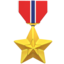 🎖