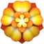 🏵️
