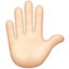 ✋🏻